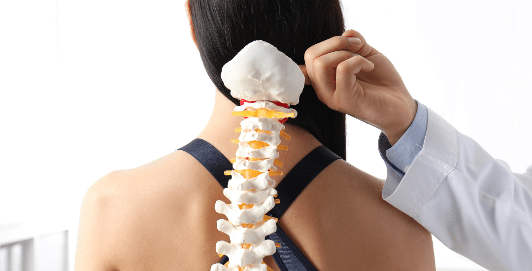 Doctor is holding an artificial spinal bone model against the woman's back, demonstrating a check for osteoporosis.