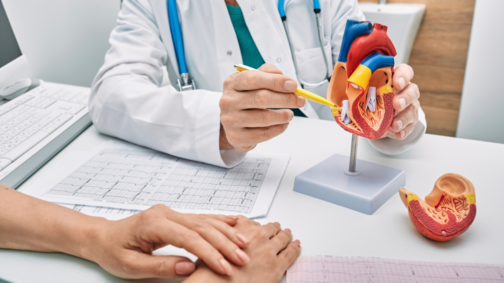 Doctor explaining the heart anatomy to his patient using a heart model, pointing with a pencil.