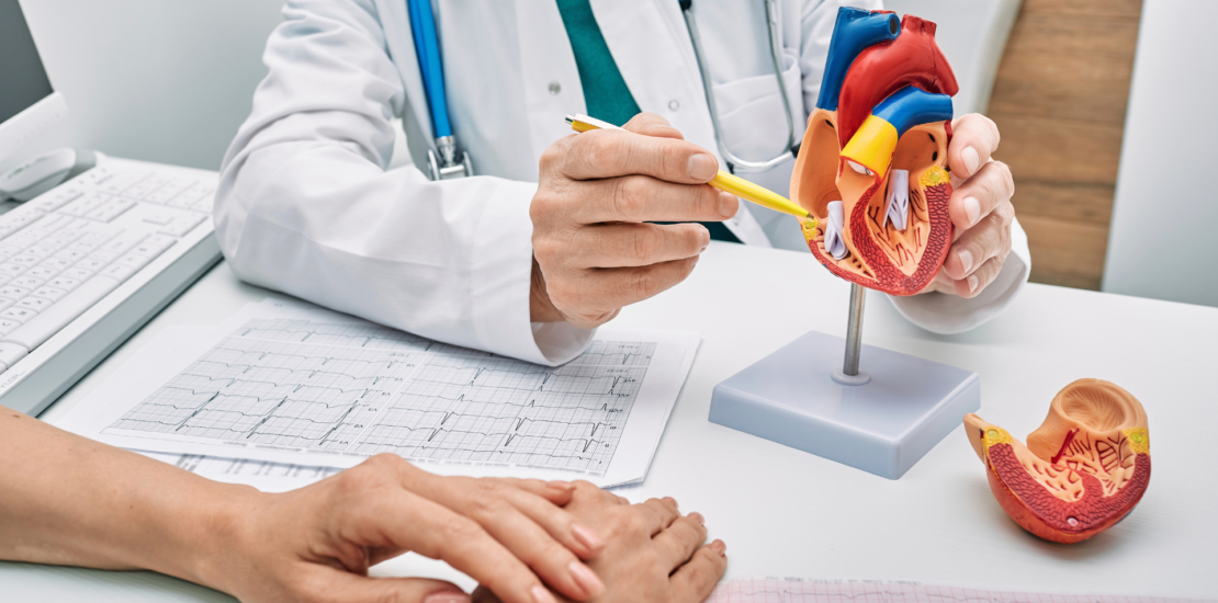 Doctor explaining the heart anatomy to his patient using a heart model, pointing with a pencil.