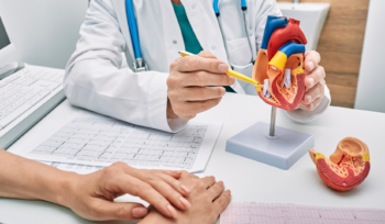 Doctor explaining the heart anatomy to his patient using a heart model, pointing with a pencil.